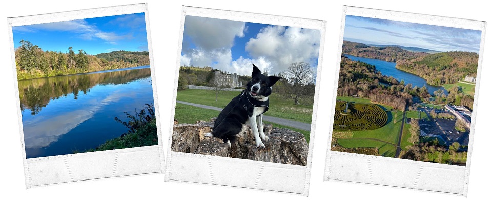 Castlewellan Forest Park